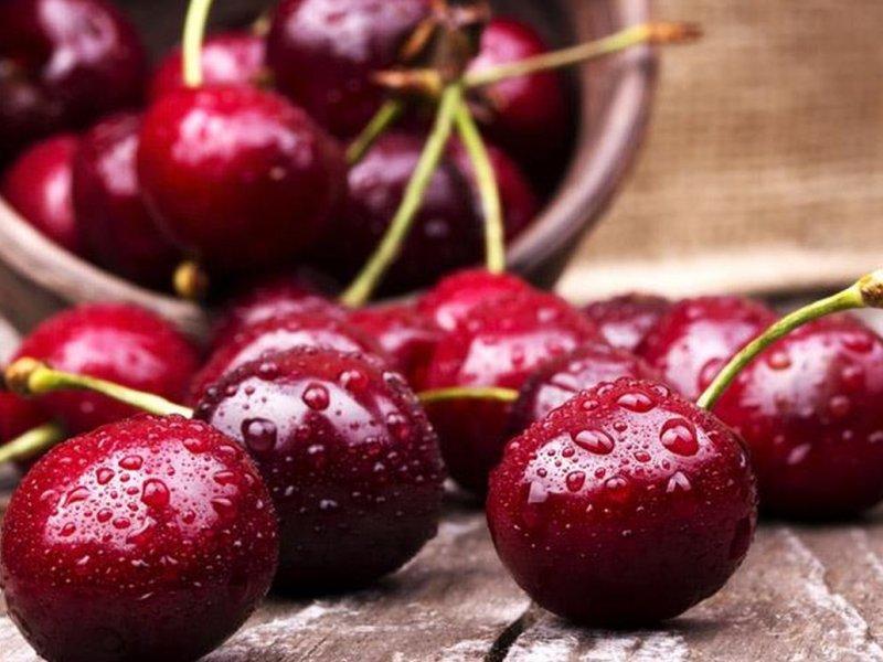 Вишня купить саженцы из питомника в Новочеркасске